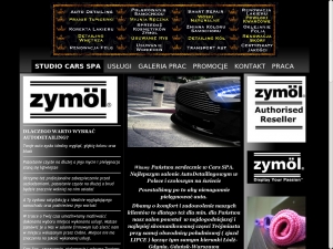 www.gol-tv.pl